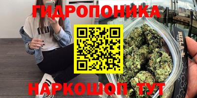 каннабис Усть-Джегута