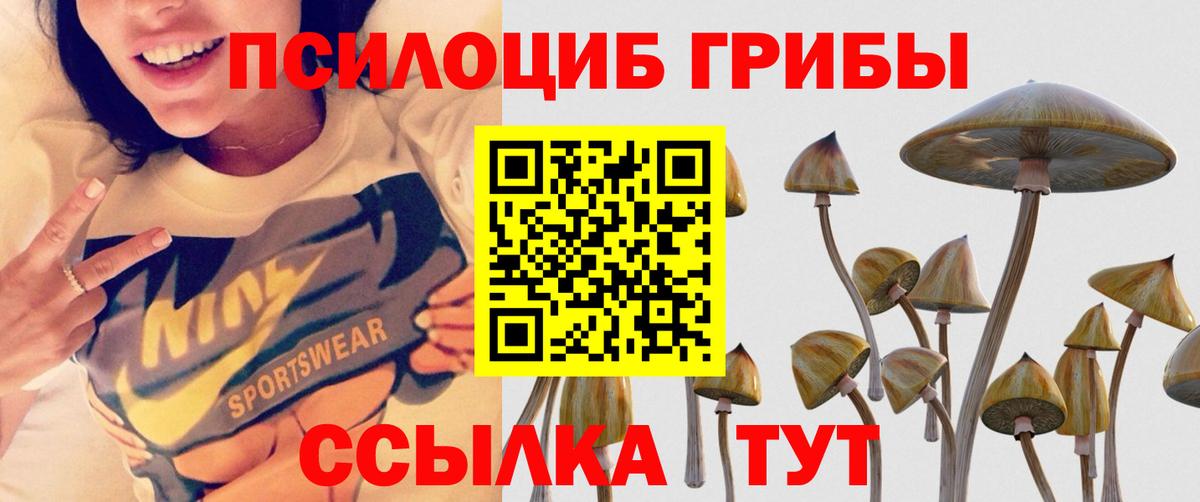 Псилоцибиновые грибы ЛСД Кропоткин